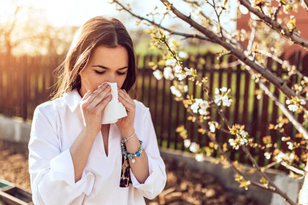 Balanced Nutrition Practices for Everyday Immune Support